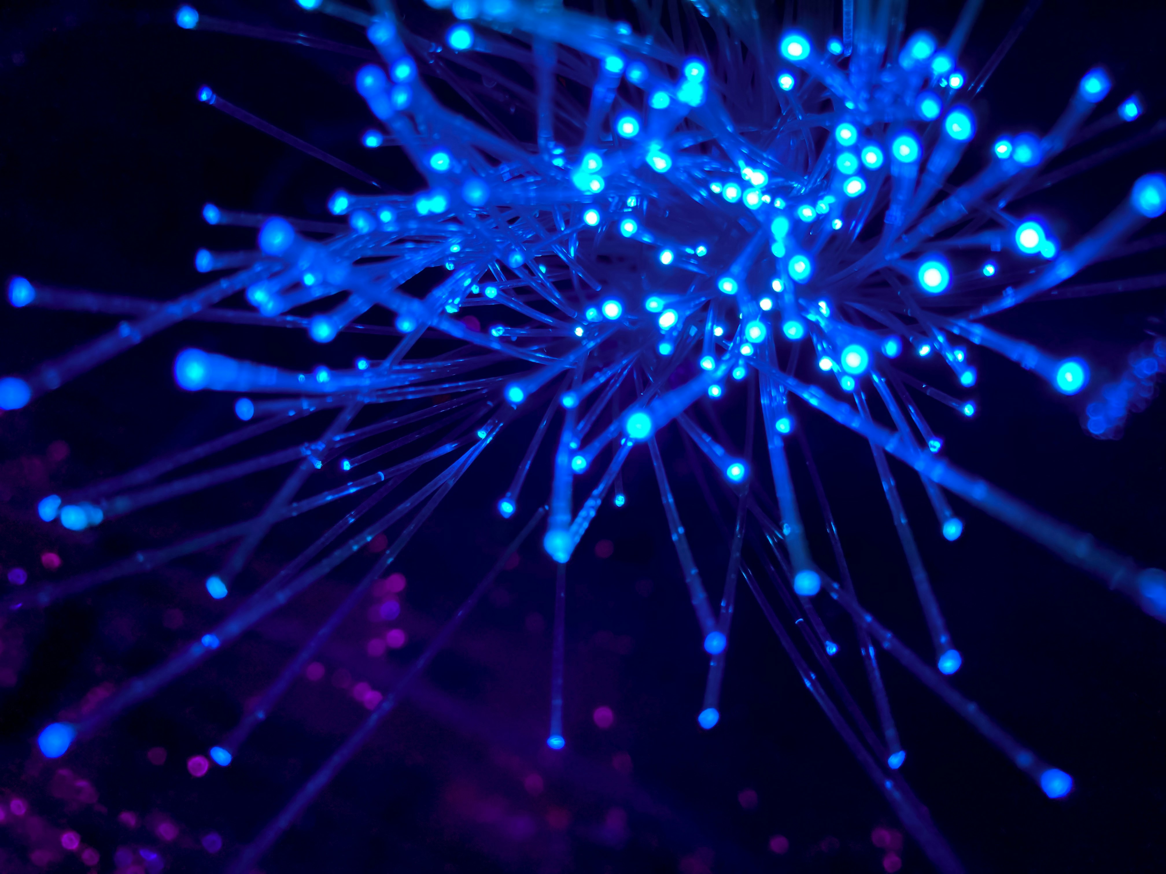 Quick guide for Caddy | Reverse Proxy • CellUtils Blog